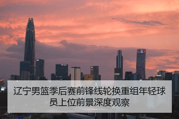 辽宁男篮季后赛前锋线轮换重组年轻球员上位前景深度观察