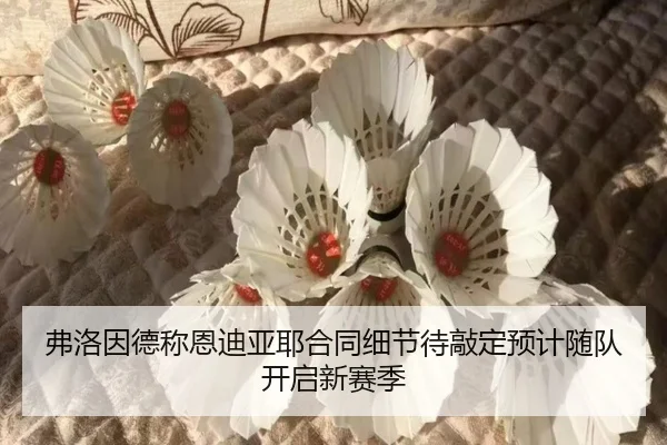 弗洛因德称恩迪亚耶合同细节待敲定预计随队开启新赛季